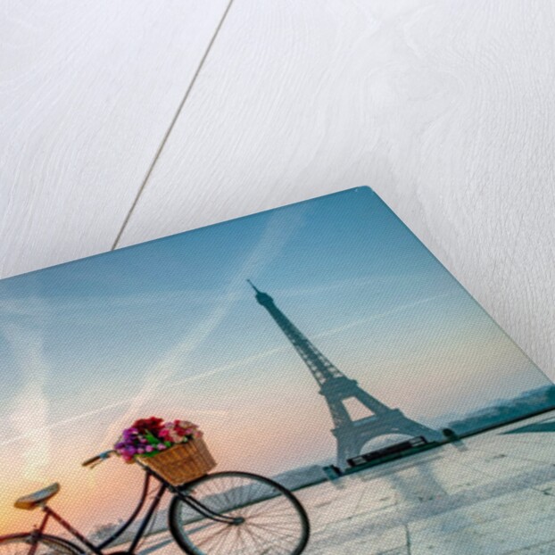 Bicycle and Eiffel tower by Assaf Frank